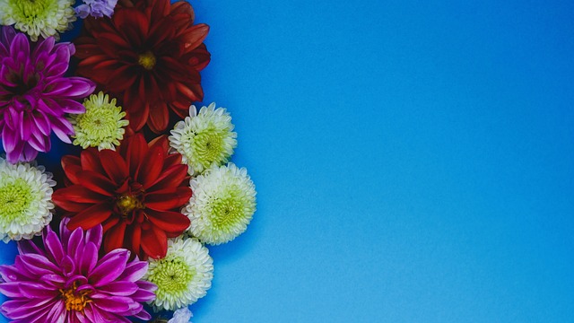 会费则是更 会费则是更