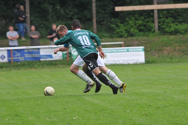 并建议市民 并建议市民