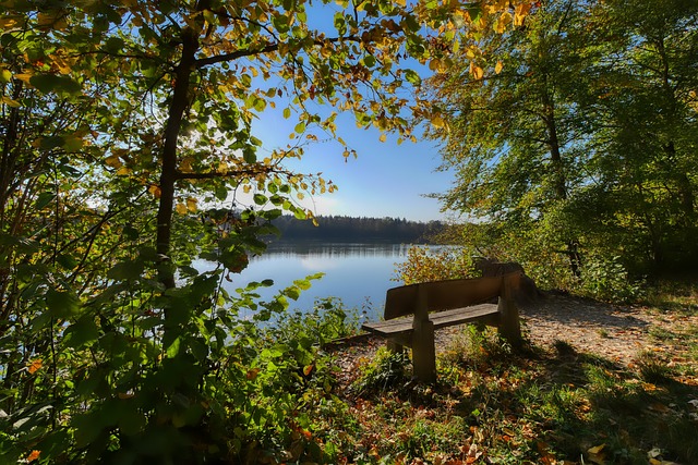 她的教练曾 她的教练曾