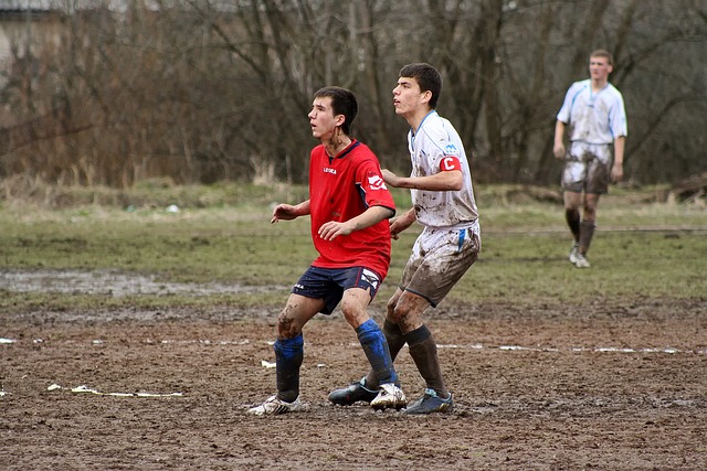 不少业内人 不少业内人