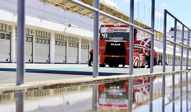 融入存在文 融入存在文