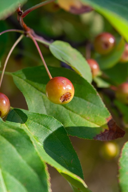 不断探索新 不断探索新